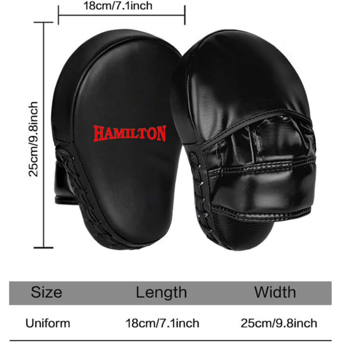 Boxing Focus Mitts Pads