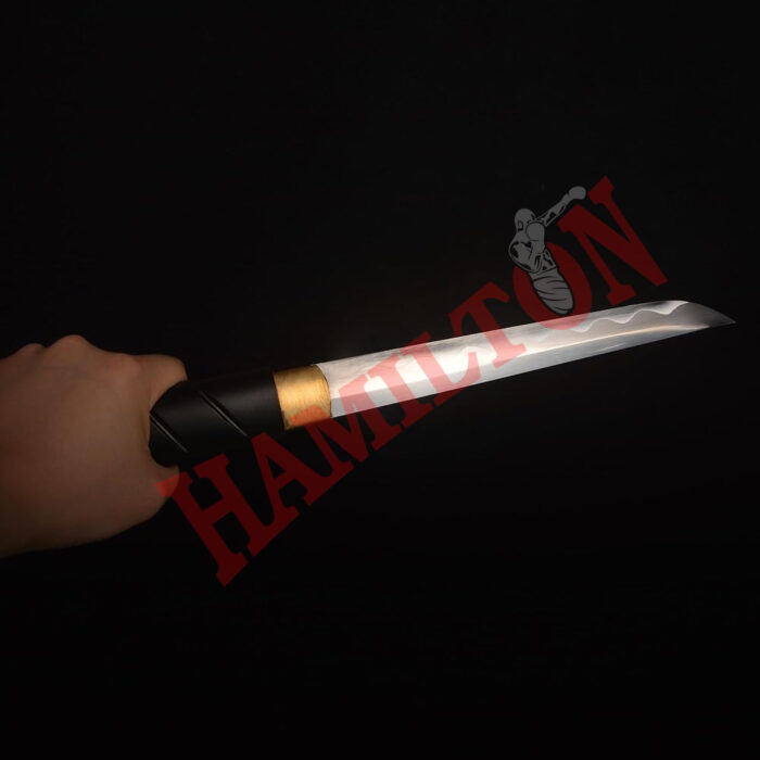 Hand Forged Mini Samurai Sword Katana Tanto Japanese Small Samurai Short