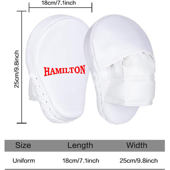Boxing Focus Mitts Pads
